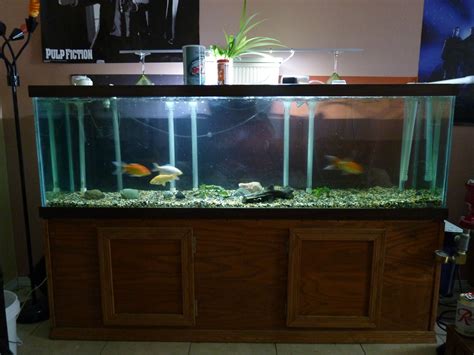 Hello Im selling my fish breeding set up 2 20 gallon tanks (1 new 1 used) 1 10 gallon tank (used) 1 4 output air pump 4 shelve rack graded to support all the tanks with water in them 5 small sponge. . Craigslist fish aquariums